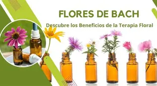 Flores de Bach
